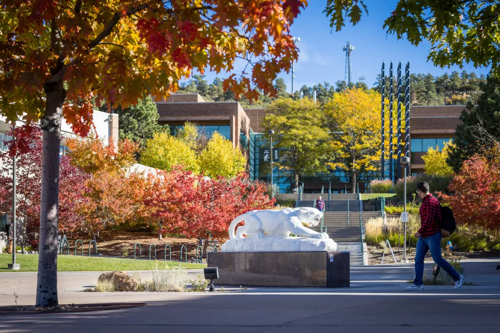 UCCS